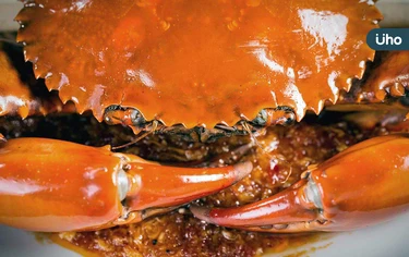 螃蟹熱量高嗎？螃蟹膽固醇高嗎？營養師揭「吃蟹秘訣」要吃這部位