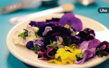 常見食用花你吃過幾種？桂花、金針花、洛神花⋯這樣料理好看又好吃