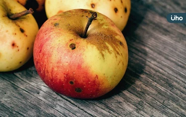 這些水果發霉「恐含強烈致癌物」！蘋果、木瓜⋯吃下肚恐「慢性中毒」