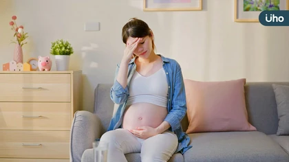 妊娠高血壓威脅母嬰健康 中醫辨證虛實施治 杜仲續斷茶安胎降壓有助調理