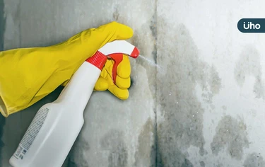 居家4大危害黴菌！黑黴菌、青黴菌、麴黴菌⋯這1種超毒「恐致失智」