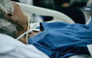 從洗腎王國到「綠色腎臟」！全台9萬人洗腎⋯醫：減少透析、移植是解方