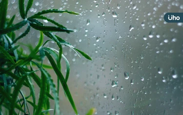 梅雨季「家中6大場所」最易潮濕發霉！達人揭「室內防黴對策」去霉味