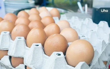 有圖解》雞蛋編號怎麼看？「這兩種號碼」千萬別買：小心吃到監獄蛋