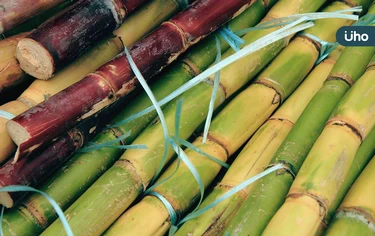 甘蔗「榨成汁」營養價值更高！3步驟做「薑汁甘蔗汁」快速補充能量