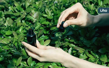 植物香氣安定心神！專家推薦5款助眠精油：薰衣草舒心、桔葉助眠