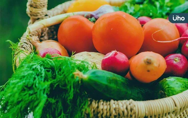 冬天「蔬食進補」怎麼吃？提升免疫力、抵抗寒冷⋯多吃「這些蔬菜」