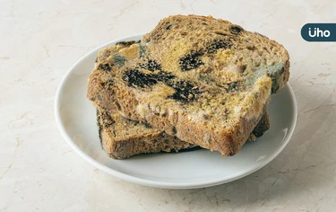 食物發霉只要切掉就好？營養師：恐吃進致癌「1毒素」最好直接丟
