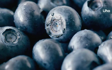 藍莓「連皮一起吃」營養價值最高！營養師盤點藍莓功效、最佳吃法