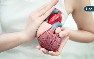 脂肪肝不只「肝臟出事」！慢性發炎、膽固醇失衡⋯醫：比肝癌更奪命