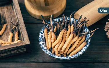 冬蟲夏草是蟲還是草？冬蟲夏草怎麼吃？盤點功效、營養價值及禁忌