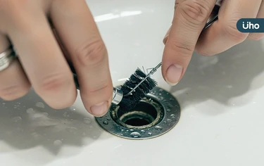為什麼家裡都是小飛蟲？專家教「1方法」徹底消滅蛾蚋：關鍵在排水管