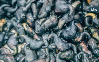 「菱角」竟然不是蔬菜！營養師揭密「真正分類」吃錯小心熱量爆表