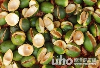 嚼檳榔驅寒提神 貨車司機吃出口腔癌