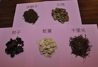 眼疾纏身看不清 中藥+針灸救惡視力