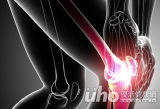 不要怕痛 退化性關節炎更要動!