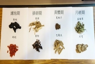 輪班+壓力大!不孕護理師 中醫調理得子