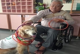 狗醫師來「看診」 互動陪伴療癒長者心