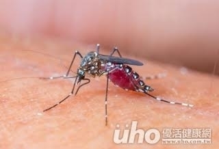 易疲憊、蚊蟲愛叮咬 酸性體質惹禍!