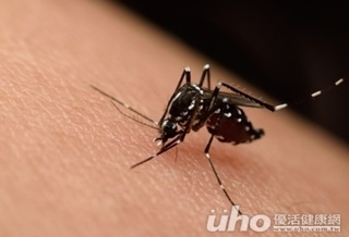 拉警報! 台第3例茲卡印尼漁工確診