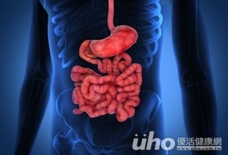 潛「腸」危機 腸道型貝西氏症