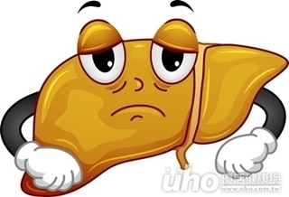 我有脂肪肝嗎? BMI可簡單評估