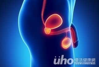 機器手臂 助攝護腺癌保性功能