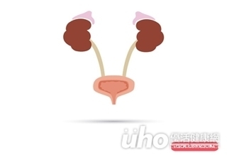 膀胱注射玻尿酸 健保8月給付