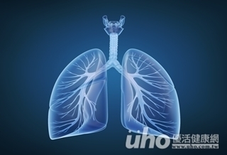 支氣管內視鏡 淋巴病灶更清楚