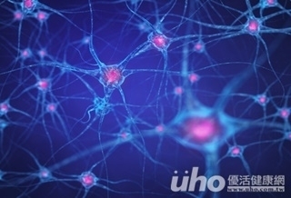 生命存在下去的必要特質 推進自己