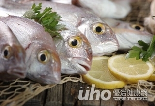 魚眼亮晶晶 小心藥水魚下肚!