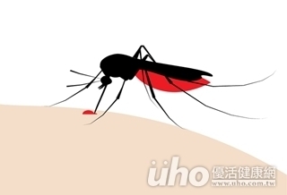 流汗穿黑衣 易成蚊子目標