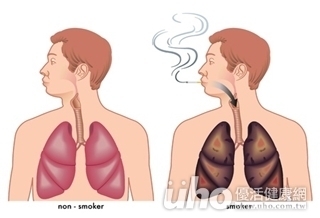 吸菸者服葉黃素　罹癌風險升102％