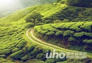 多看綠色景觀 有效降低犯罪率