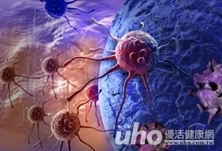 消滅癌細胞 和平相處為上策