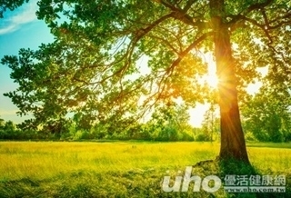 親近自然 啟發新的思維模式