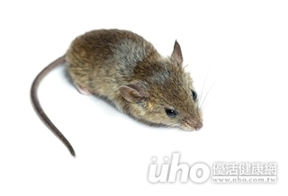 中年男子當心!3不措施防漢他