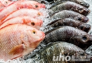 魚肉吃太少 易患憂鬱症、失智症