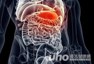 腸胃食療做好　人真的不會老！