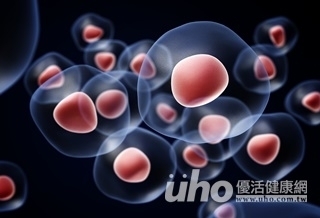 真的有心電感應?細胞的殘存記憶