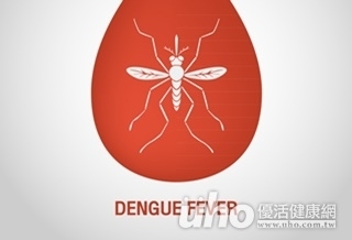 登革熱快篩 20分鐘就有結果