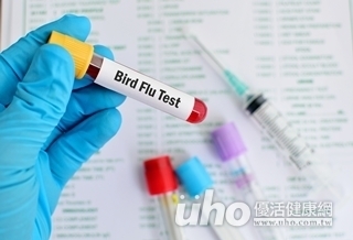 「禽」形不對 陸H7N9病例激增