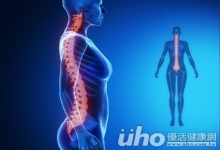 八段錦簡易8招 擊退脊椎問題