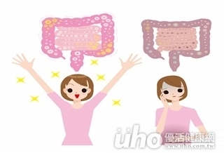 腸道變乾淨 燃脂速度變更快