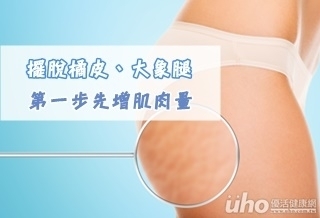 KO橘皮 第一步先增肌肉量