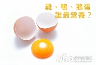 雞、鴨、鵝　哪種蛋最營養？