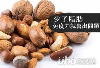 少了脂肪 免疫力就會出問題