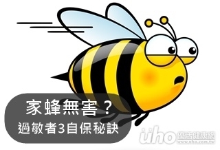 家蜂無害?過敏者3自保秘訣