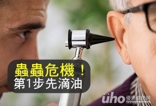 飛蛾撲耳 第一步驟先滴油!