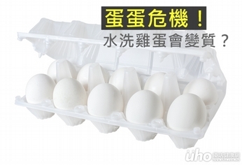 蛋蛋危機!水洗雞蛋會變質?